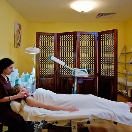 Sol Palace 5* 内塞伯尔